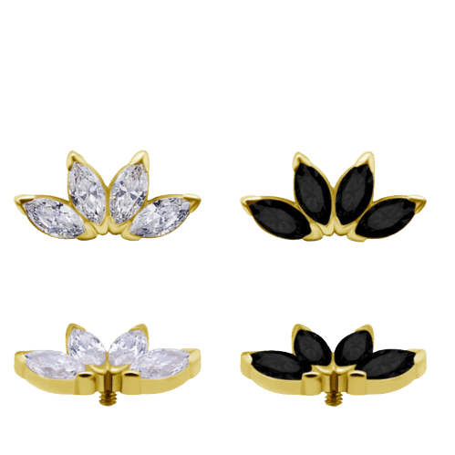 Corpus Lux