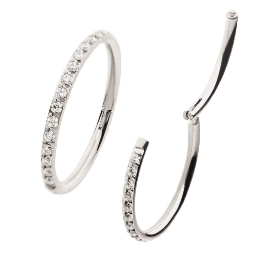 Titanium with 1mm CNC Set Clear CZ Eternity Gem Side Facing Hinged Segment Clicker