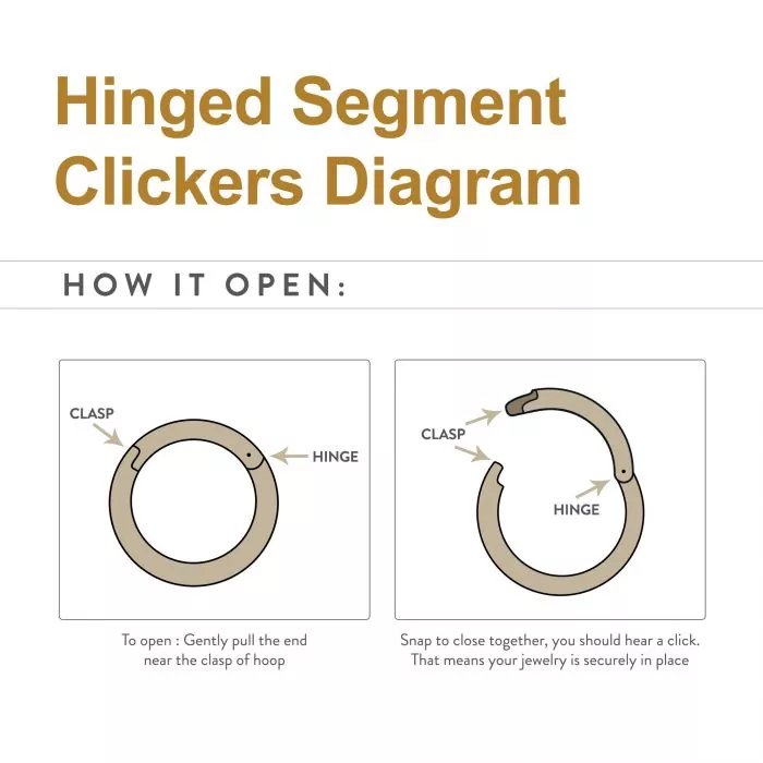 Titanium Side Facing Hinged Segment Clicker with Single Hoop Full Clear CNC Set Round CZ