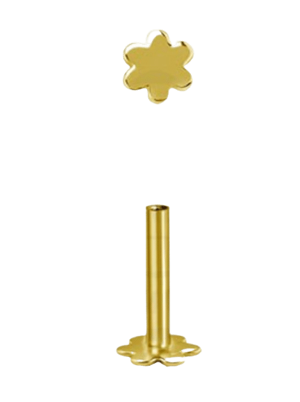 WARG Labret 4mm Blomformad baksida