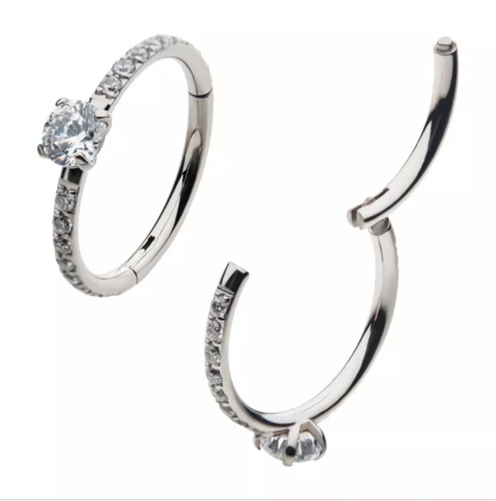 Titanium with Centerpiece Prong Set Round Clear CZ Eternity Side Facing Hinged Segment Clicker
