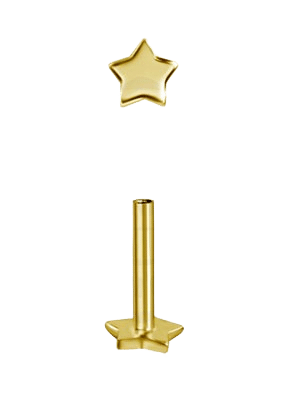 WARG Labret 4mm Stjärnformad baksida