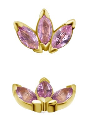 Gullveigs Ljus (Rosa Safir)