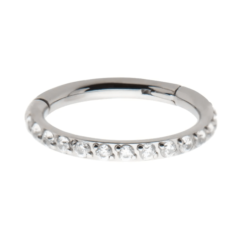 Titanium with 1mm CNC Set Clear CZ Eternity Gem Side Facing Hinged Segment Clicker