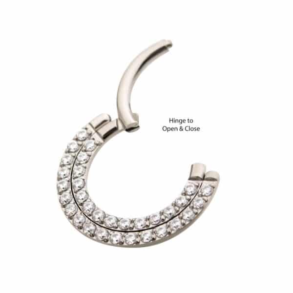 Titanium Double Row Prong Set Clear CZ Front Facing Hinged Segment Clicker - Bild 2
